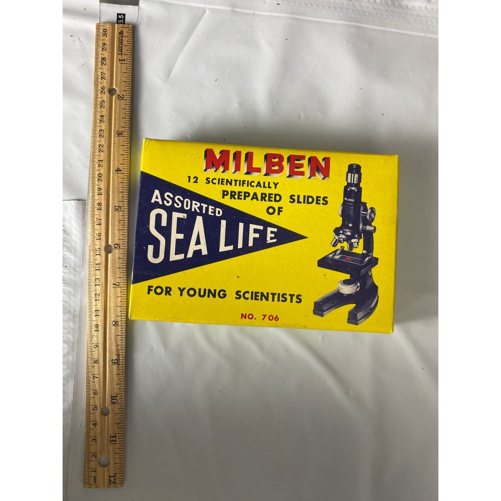 Vintage Milben No 706 Assorted Sea Life 12 Prepared Microscope Slides Japan Box